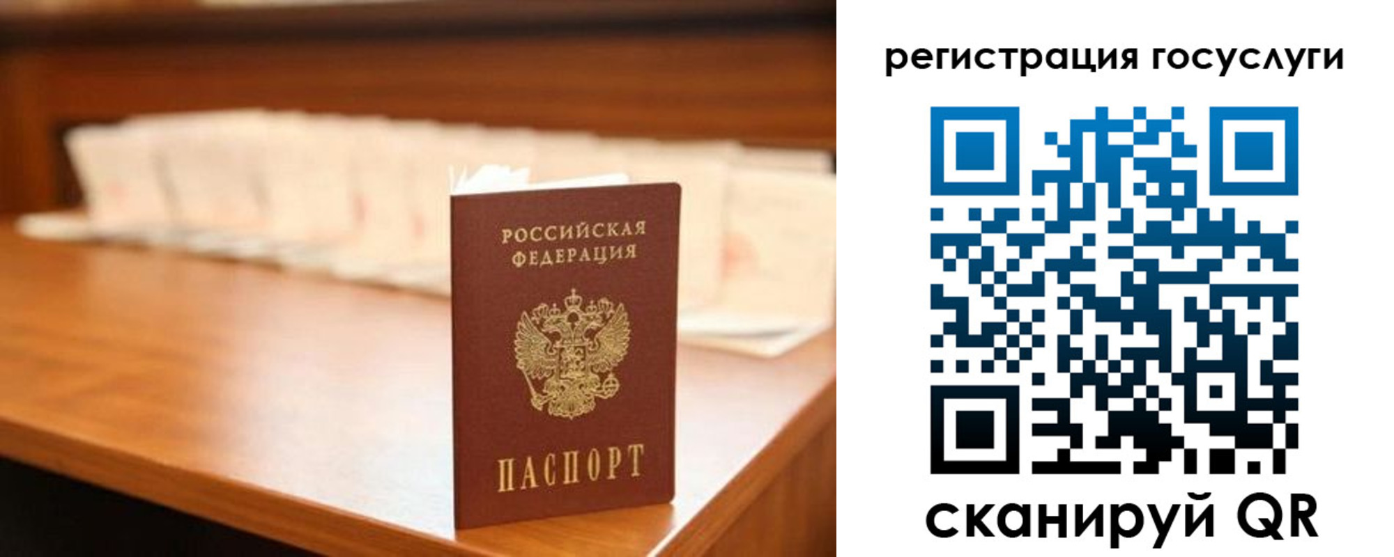 прописка в квартире в Сельцо