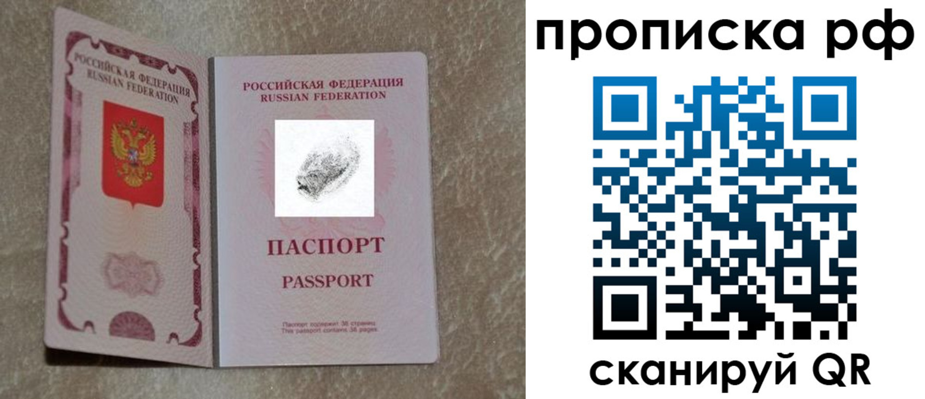 прописка поиск в Сельцо